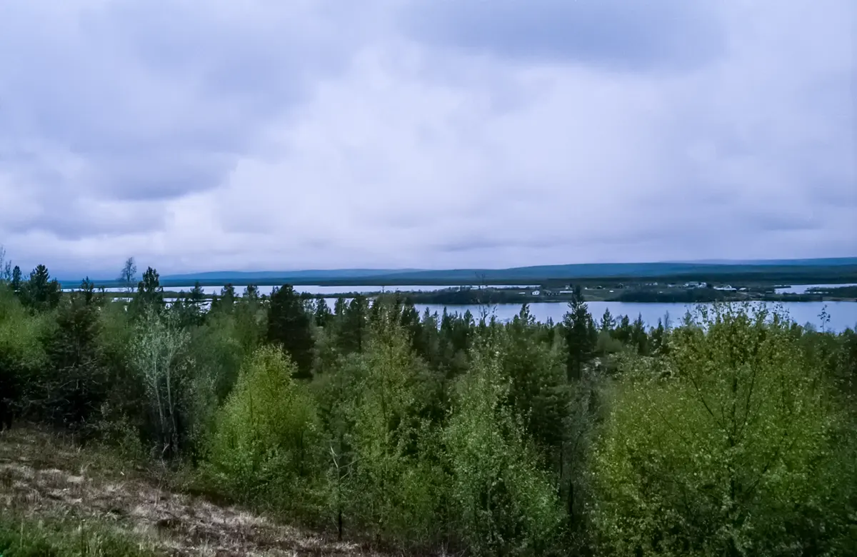 Toendra in Noord Zweden en Finland