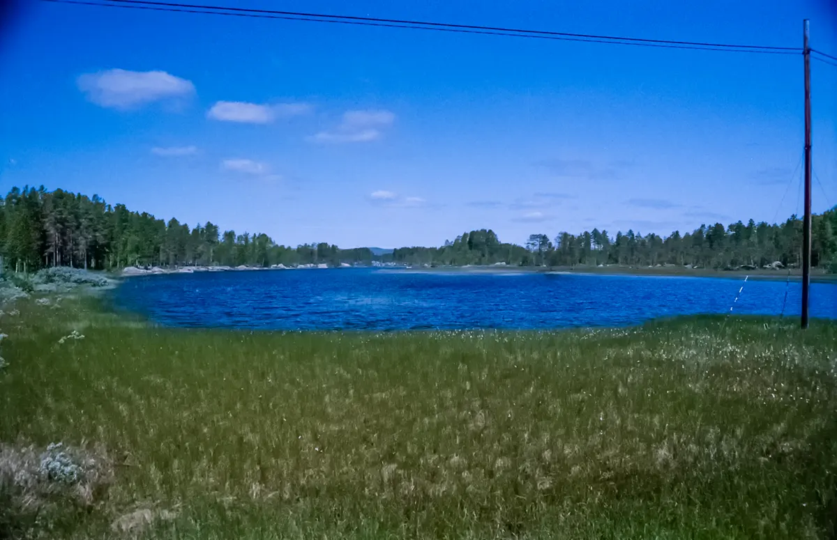 Meren en bossen in Midden Zweden