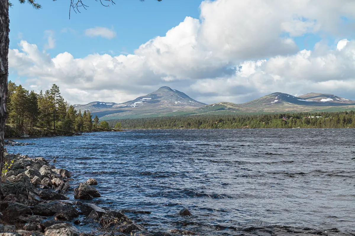 Langsjøen