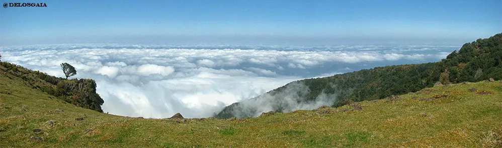 Uitzicht vanaf Porto Florestal do Fanal