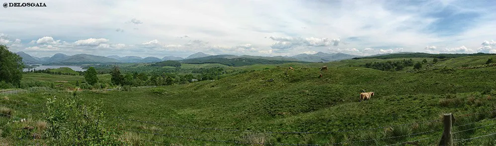 Argyll: Heuvels van Argyll met Schotse hooglanders